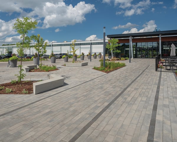 pavimentar-arbustos-plantes-mesa-picnic