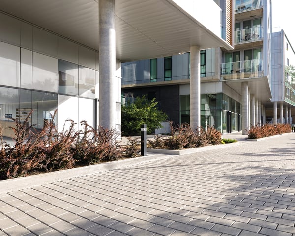 pavimentar-arbustres-edificio