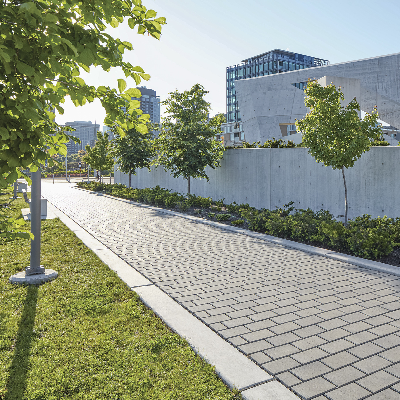 Sentier-pave-gazon-arbres